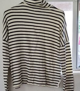 Madewell blue and white  striped turtleneck shir